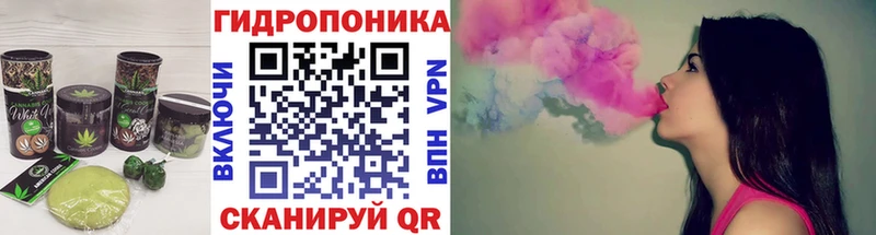 Canna-Cookies конопля Кинель