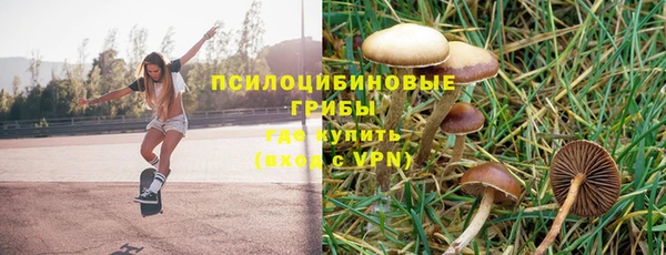 прущие крисы Алексин