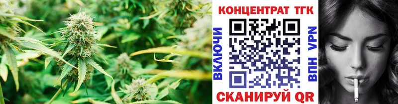 закладка  Кинель  ТГК жижа 